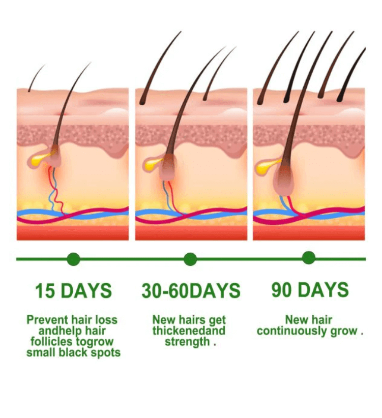 Natural rosemary essential oil for scalp nourishment UAE - LaamLooks