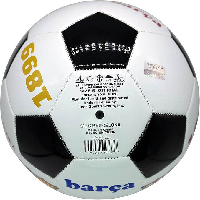 world cup 2026 trionda soccer ball for professional match play